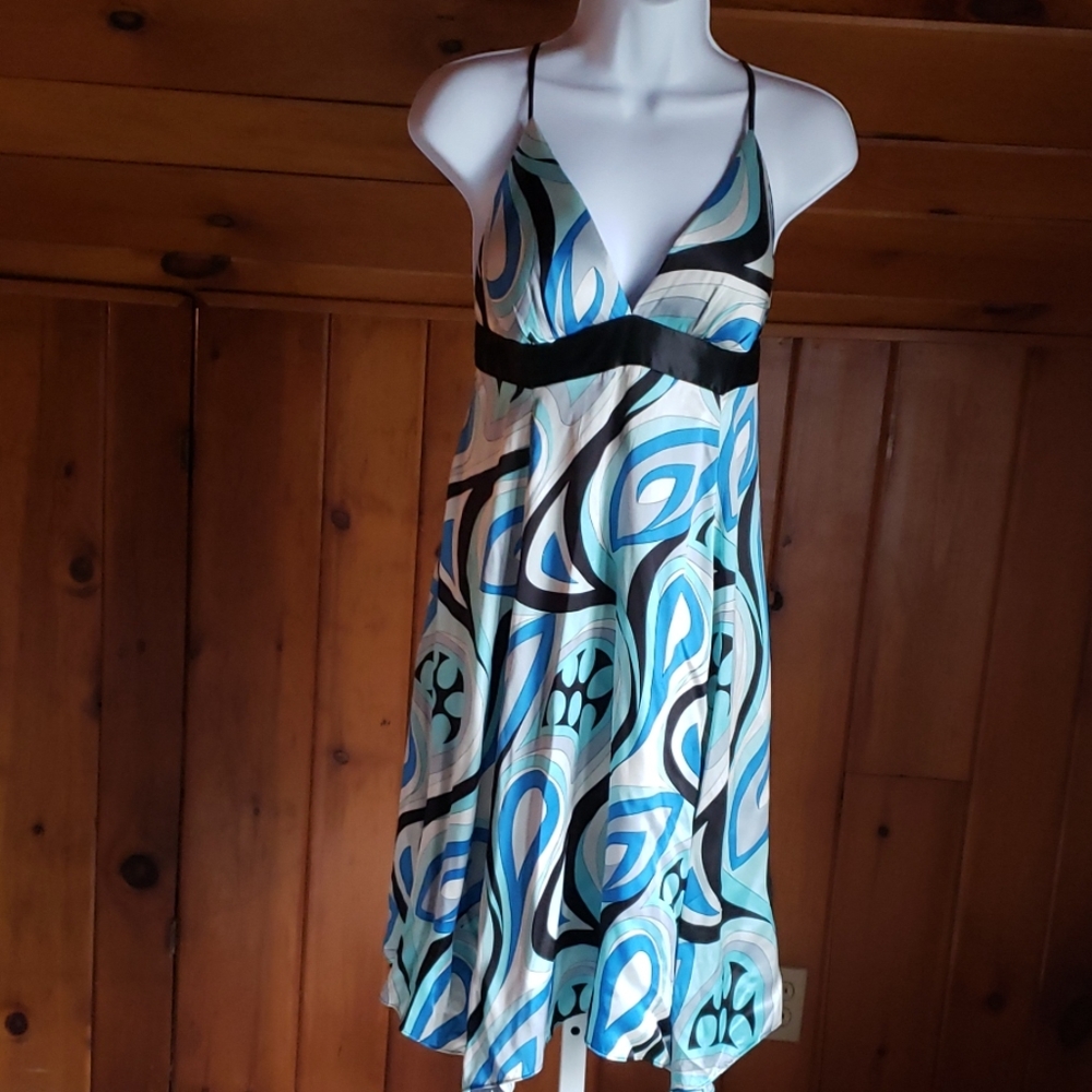 Arden B silk dress